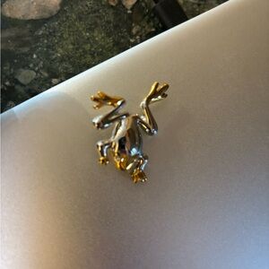 Silver frog pin